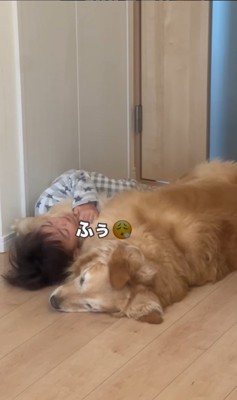 きなこちゃんと二度寝する男の子7