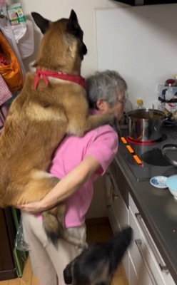 隣でうろうろする大型犬