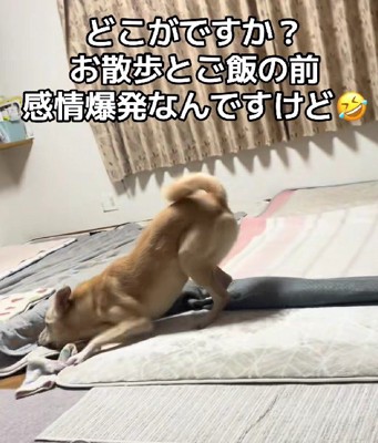 お散歩とご飯の前は…