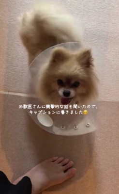 笑顔を見せてくれるように