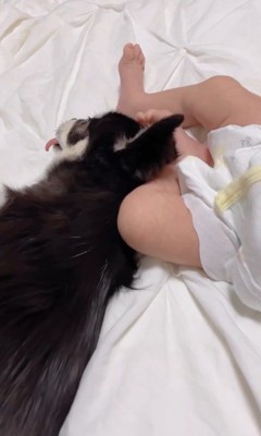 すずちゃんと赤ちゃん5