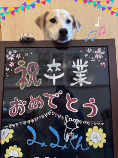 里親さんが見つかったよ！！