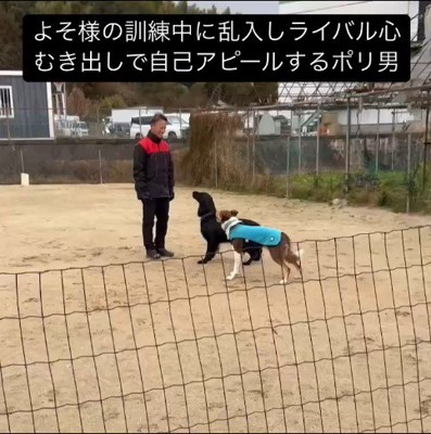 訓練中に乱入するポリくん