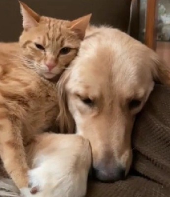 これからも仲良くね！