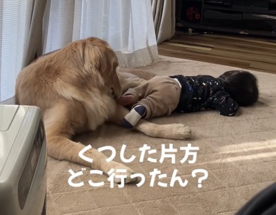 犬の前で靴下片方脱げたまま横たわる赤ちゃん