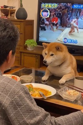 パパの夕飯時は…