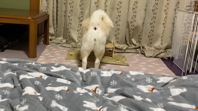 とりあえず水分補給…