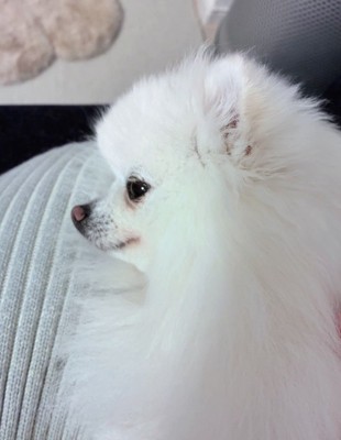 骨まで可愛いこまめちゃんでした
