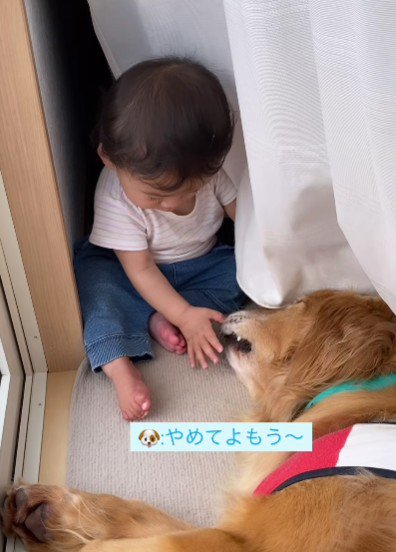 「なにするの～」