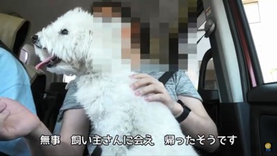 病院へ行く迷子犬2