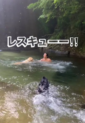 慌ててレスキュー