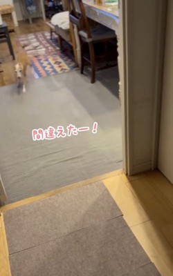 大興奮のあまり