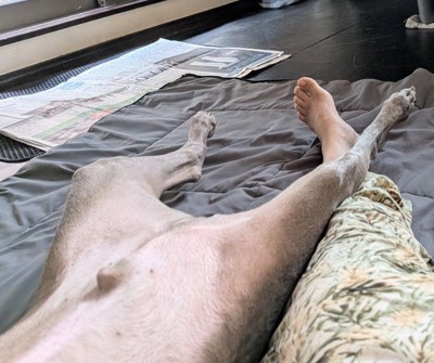 愛犬の足が乗ってた!