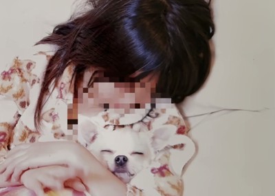 人の腕の中で眠る犬
