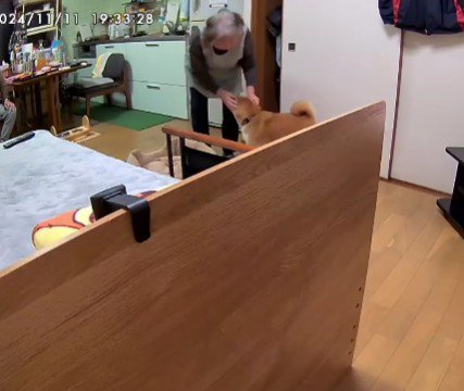 ペットカメラをのぞき見したら…