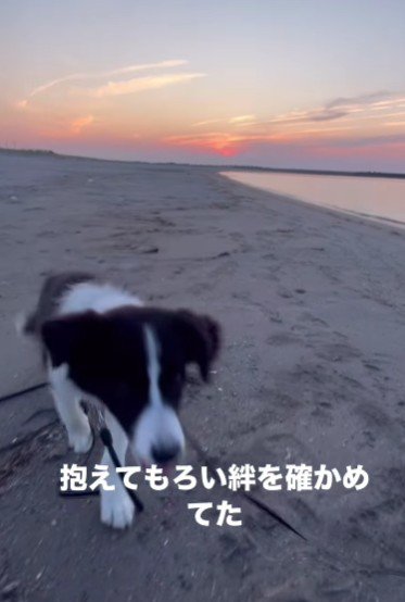 毎日がたからもの