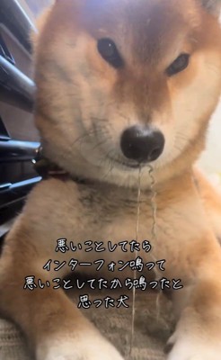 イタズラ中のぬん君