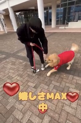男性の足元ではしゃぐ犬