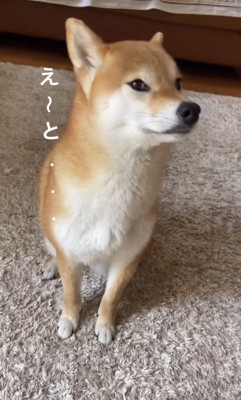 チラッ