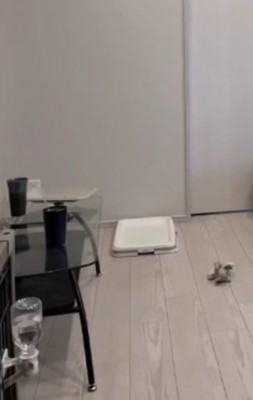 静まり返った部屋の中