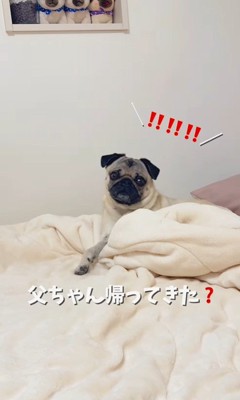 魔法の言葉で飛び起きるももこちゃん8