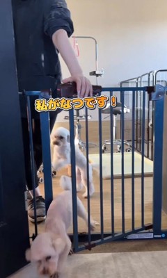 はるちゃん＆なつちゃんのお迎え8