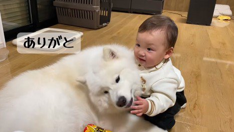 こはくちゃん愛が止まらない!