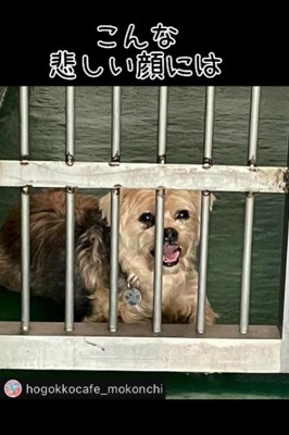 もう寂しい顔にはさせない