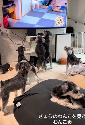 夢中になっています♪