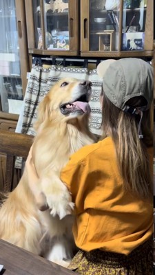 舌を出して腕を飼い主さんの上に置く犬