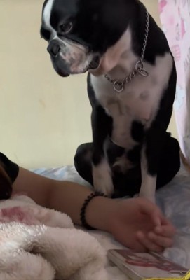 しっかりお話を聞いています