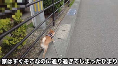 自宅を通り過ぎてしまった