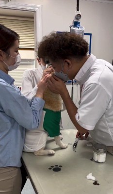 「がまん、がまん」