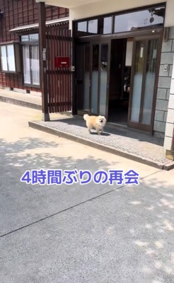 ますお君の熱烈歓迎2