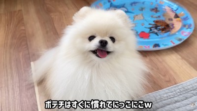 ポテチくんは気に入ったようです♪