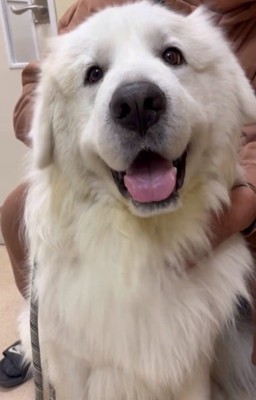 カメラ目線のアレンくん