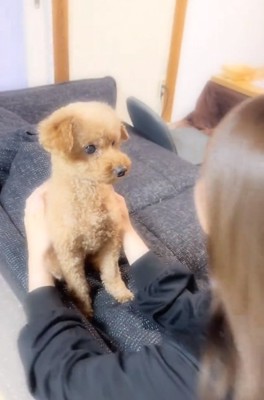 ふうたくんと投稿主さん