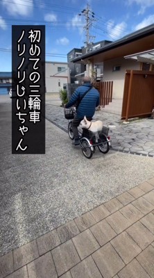 電動式三輪車を漕ぐ年配男性の後ろ姿