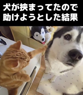 そこにおるんかい!