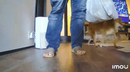 「僕、頑張ったよ!」
