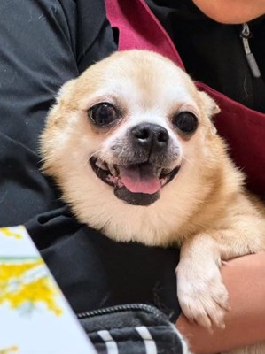 笑顔のおもちちゃん