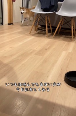 呼ばれた甚八くん