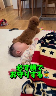 お昼寝を護衛!!