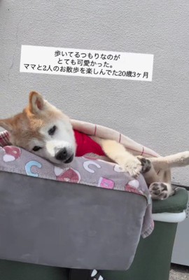 景色も見えていい気持ち