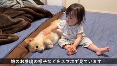 寝かしつけ再開