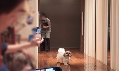 リングドッグに挑戦するつぶちゃん6