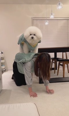 亀になりきる王子くん＆あんじちゃん9