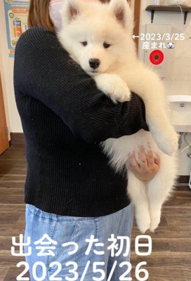 ぬいぐるみみたい♡