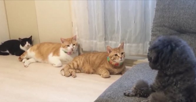 振り返る