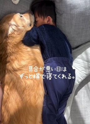 具合が悪い息子さんときなこちゃん
